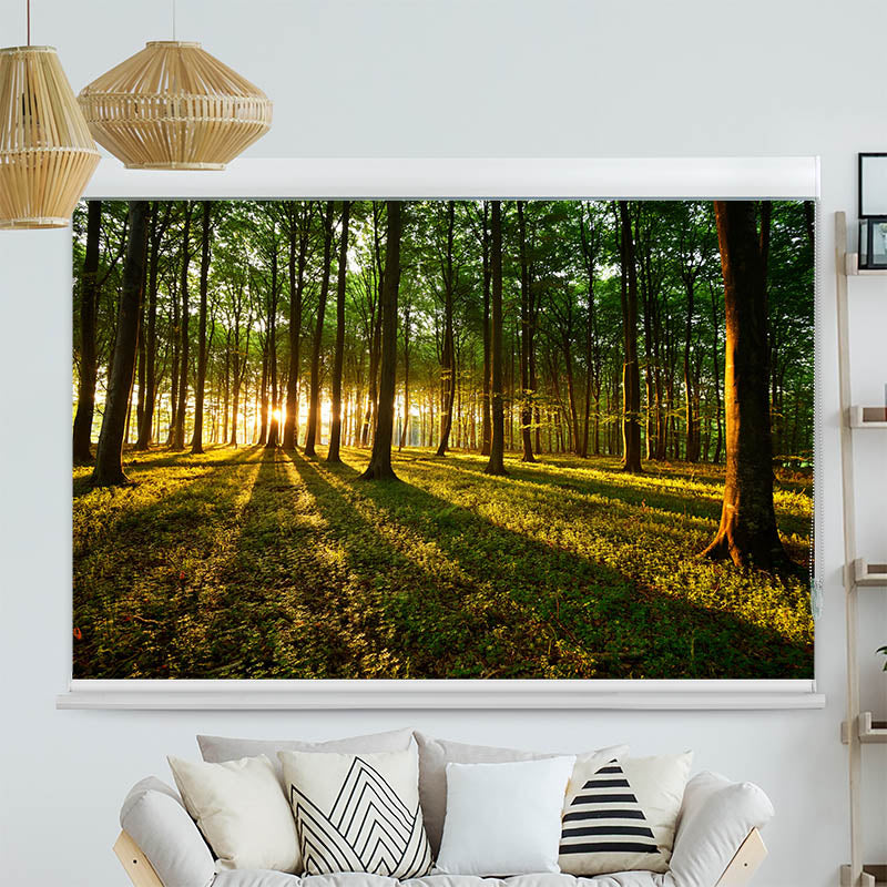 Kassettenrollo Motiv 'Sonnenstrahlen im Wald'