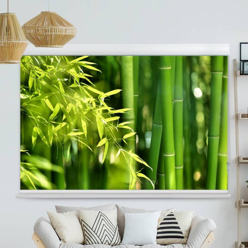 Kassettenrollo Motiv Bambus Strauch