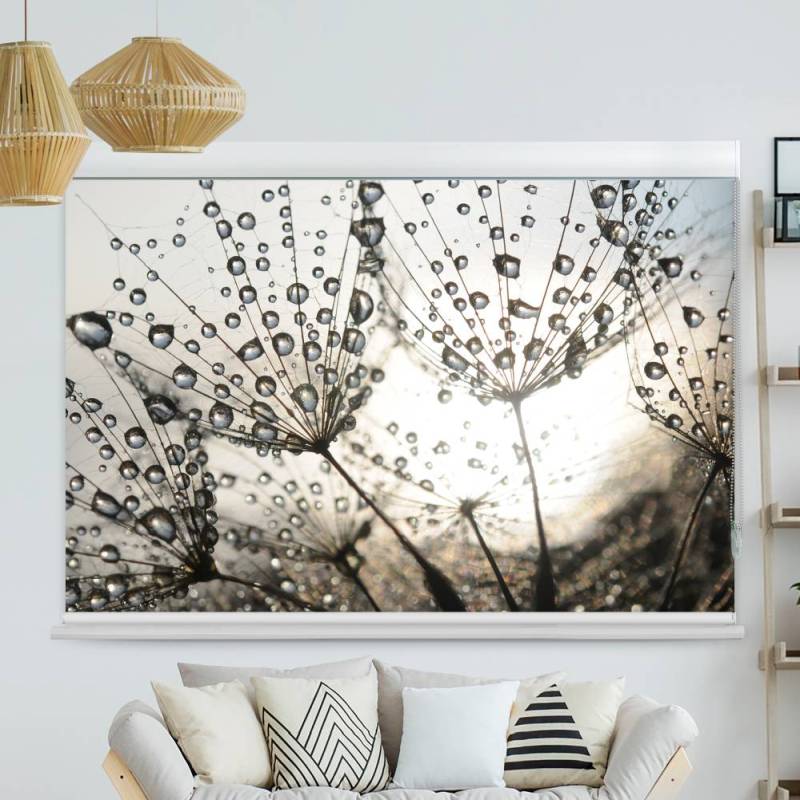 Kassettenrollo Motiv Pusteblume Tautropfen