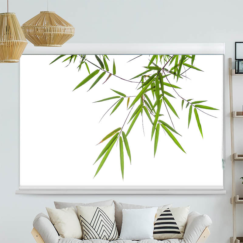 Kassettenrollo Motiv 'Bambus von Oben'