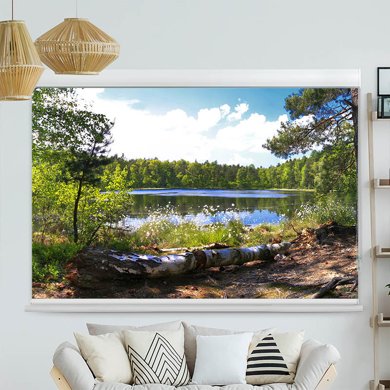 Kassettenrollo Motiv 'Waldsee Panorama'