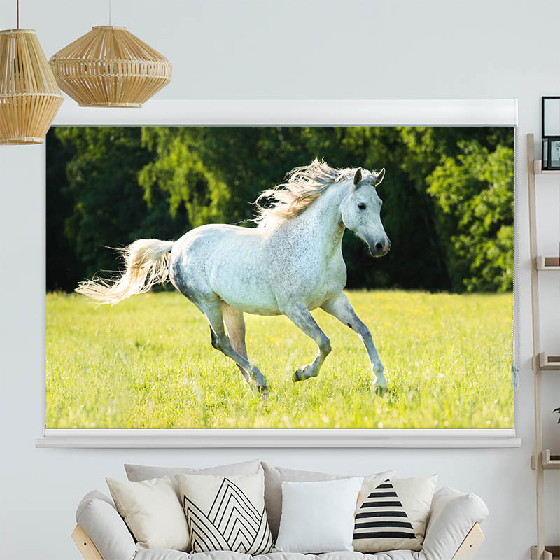 Kassettenrollo Motiv 'Weisses Pferd im Gras'