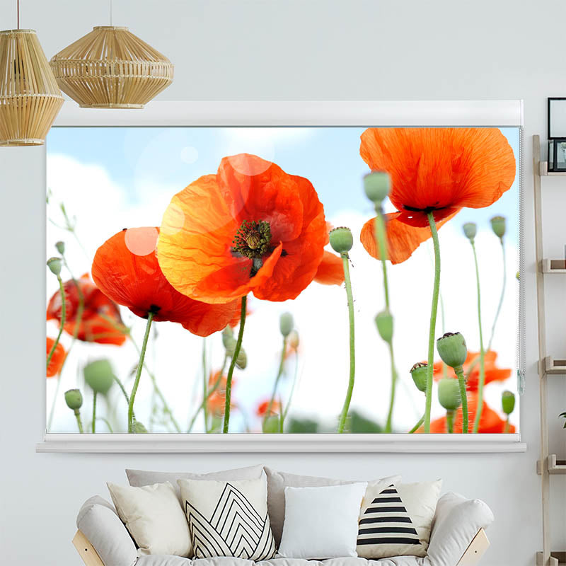 Kassettenrollo Motiv 'Mohnblumen Panorama'