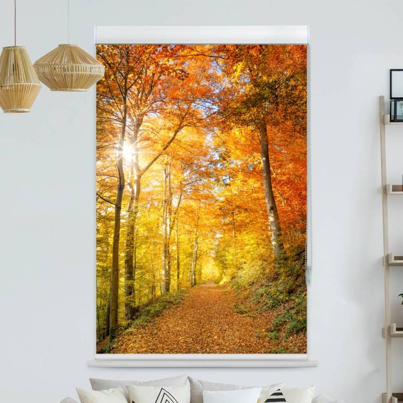 Kassettenrollo Motiv Waldweg Herbst
