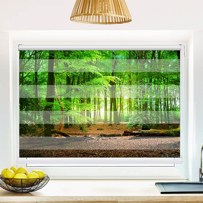 Fotorollo Wald mit Eichenlaub