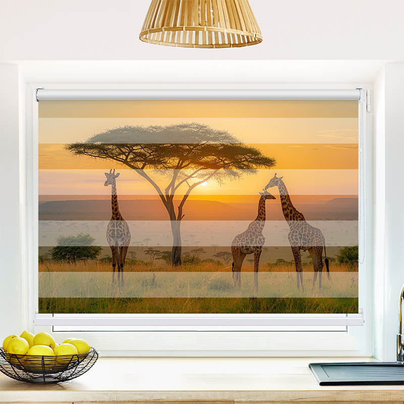 Fotorollo Afrika Giraffen Savanne