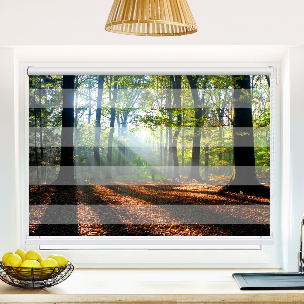 Klemm Doppelrollo "Wald Laub Sonne" - ohne Bohren - Klemmfix - bis 150 cm Breite - Duo Rollo Fotodruck - La-Melle