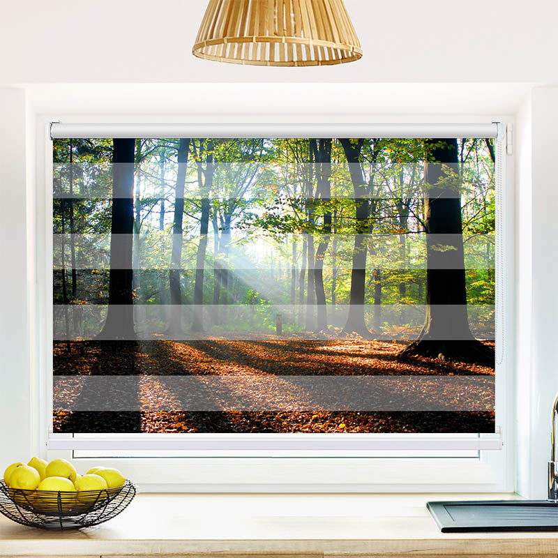 Fotorollo Wald Laub Sonne