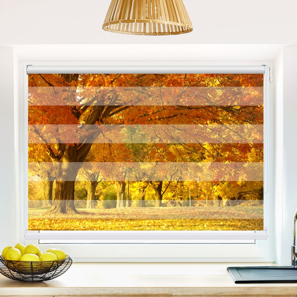 Klemm Doppelrollo "Allee Im Herbst" - ohne Bohren - Klemmfix - bis 150 cm Breite - Duo Rollo Fotodruck - La-Melle