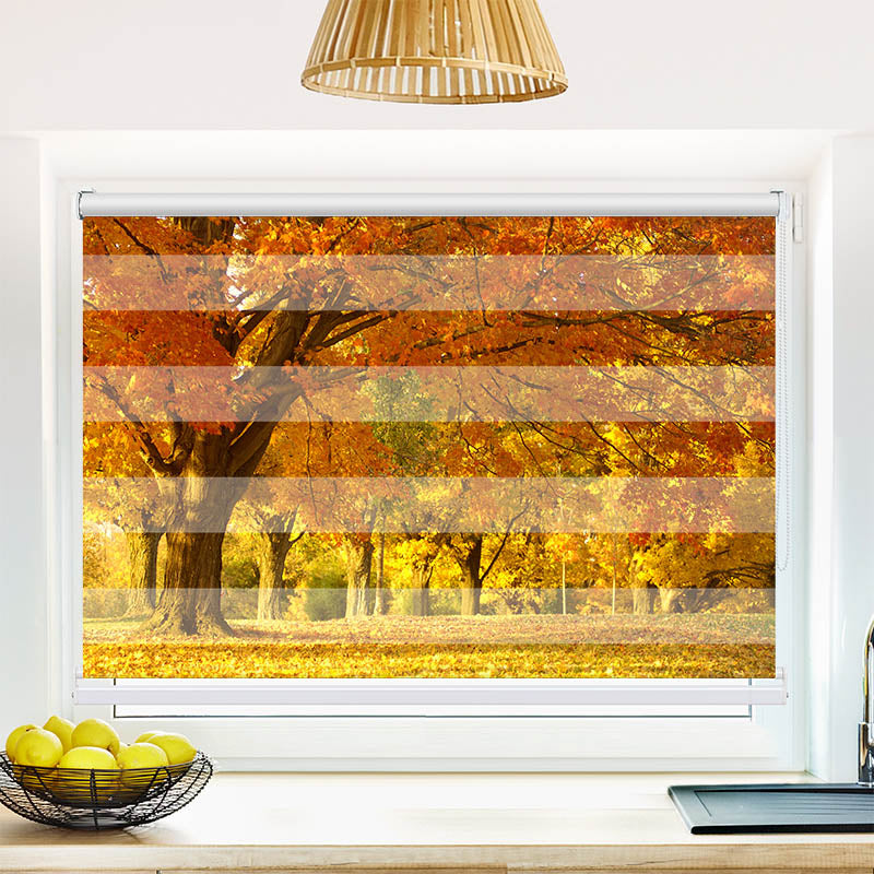 Fotorollo Allee im Herbst