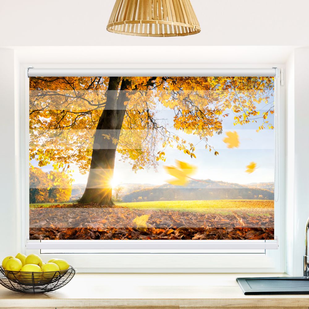 Klemm Doppelrollo "Baum Wiese Herbst" - ohne Bohren - Klemmfix - bis 150 cm Breite - Duo Rollo Fotodruck - La-Melle