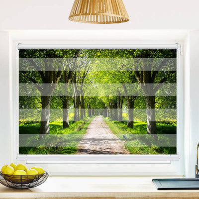 Fotorollo Schoene Allee