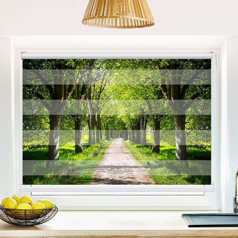 Fotorollo Schoene Allee