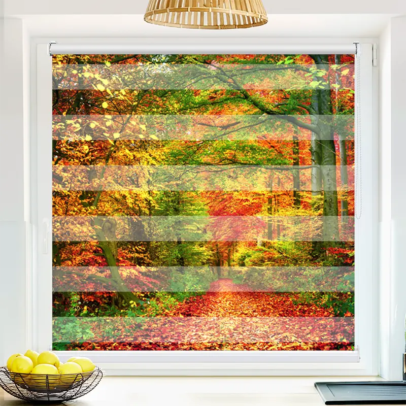 Klemmfix Doppelrollo 'Weg Im Herbstwald' | Klemm Doppelrollo