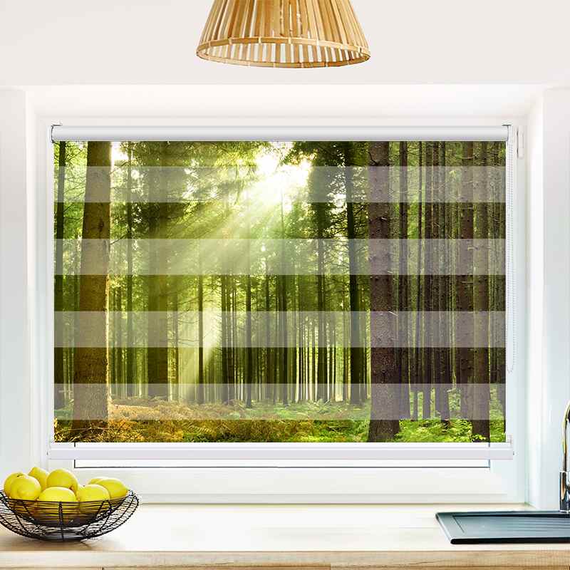 Klemmfix Doppelrollo "Sonnenstrahlen im Wald Panorama" | Klemm Doppelrollo