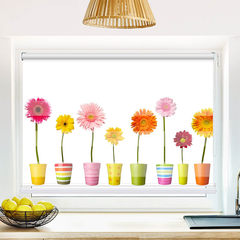 Fotorollo Bunte Topfblumen