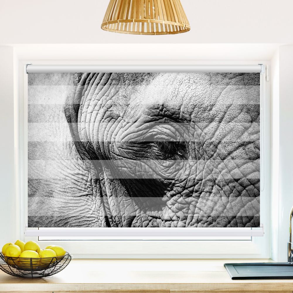 Klemm Doppelrollo "Elefant Afrika Auge" - ohne Bohren - Klemmfix - bis 150 cm Breite - Duo Rollo Fotodruck - La-Melle