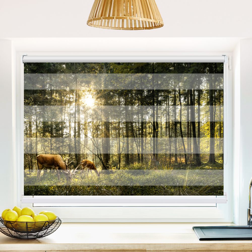 Klemm Doppelrollo "Hirsch Reh Wald" - ohne Bohren - Klemmfix - bis 150 cm Breite - Duo Rollo Fotodruck - La-Melle