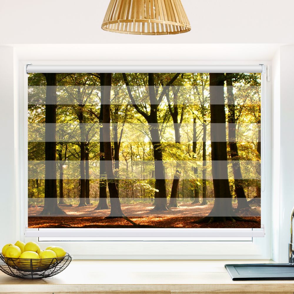 Klemm Doppelrollo "Wald Sonnenstrahlen" - ohne Bohren - Klemmfix - bis 150 cm Breite - Duo Rollo Fotodruck - La-Melle