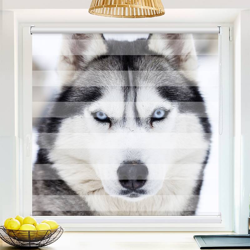 Klemmfix Doppelrollo "Husky" | Klemm Doppelrollo