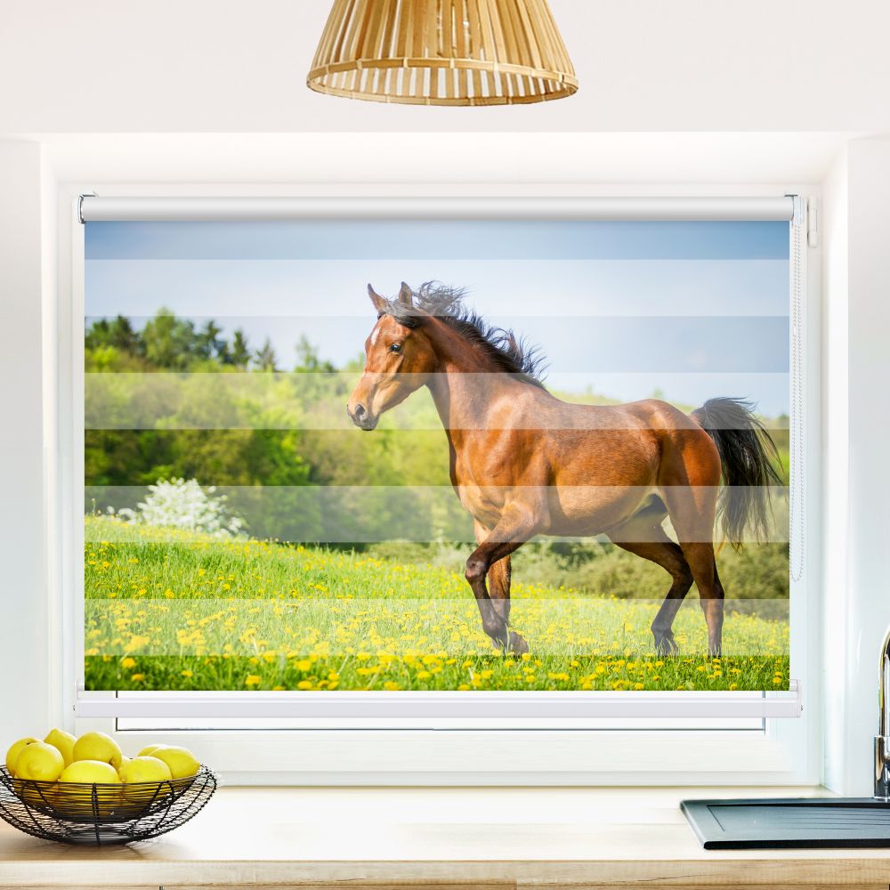 Klemm Doppelrollo "Pferd Gruene Wiese" - ohne Bohren - Klemmfix - bis 150 cm Breite - Duo Rollo Fotodruck - La-Melle