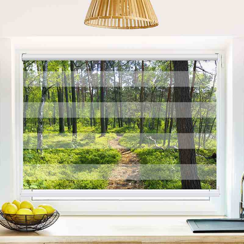 Klemmfix Doppelrollo "Wald Sonnenstrahlen Panorama" | Klemm Doppelrollo