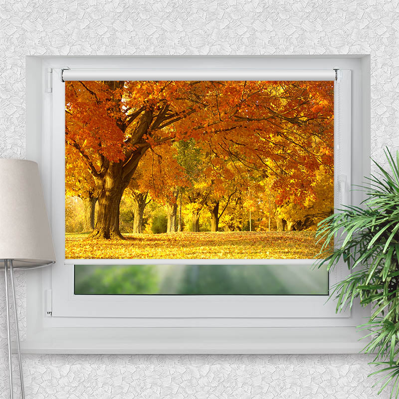 Klemmfix Rollo Allee im Herbst