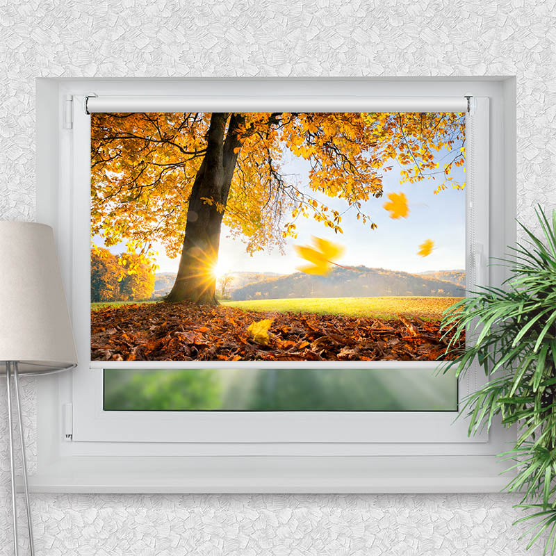 Klemmfix Rollo Baum Wiese Herbst