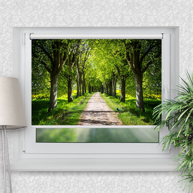 Klemmfix Rollo Schoene Allee