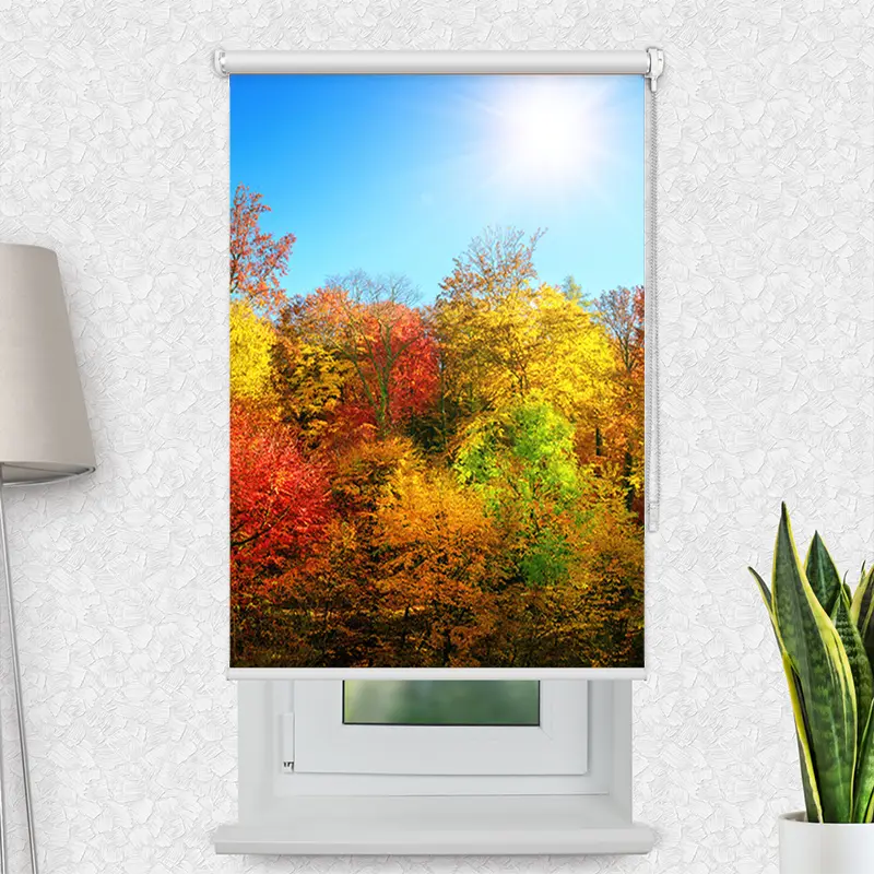 Klemmfix Rollo "Bunter Herbstwald" | Motiv-Klemmrollo