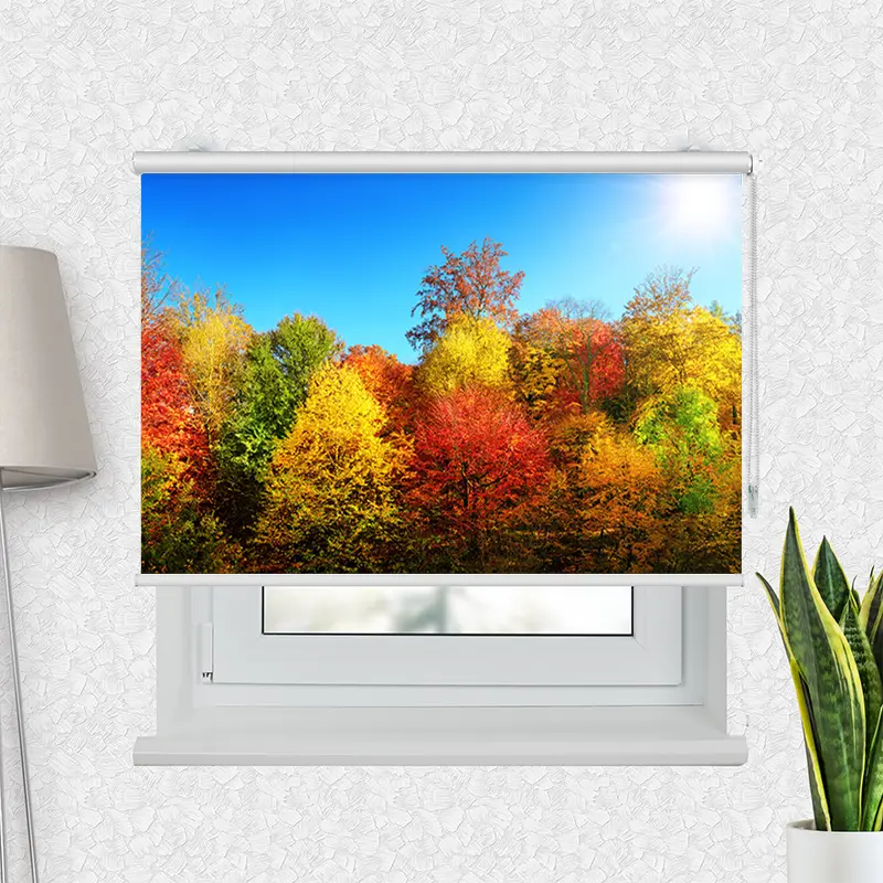 Klemmfix Rollo "Bunter Herbstwald" | Motiv-Klemmrollo