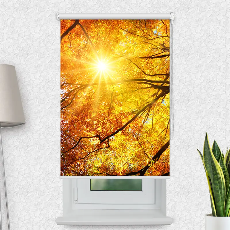 Klemmfix Rollo "Baumkrone Herbst Sonnenschein" | Motiv-Klemmrollo