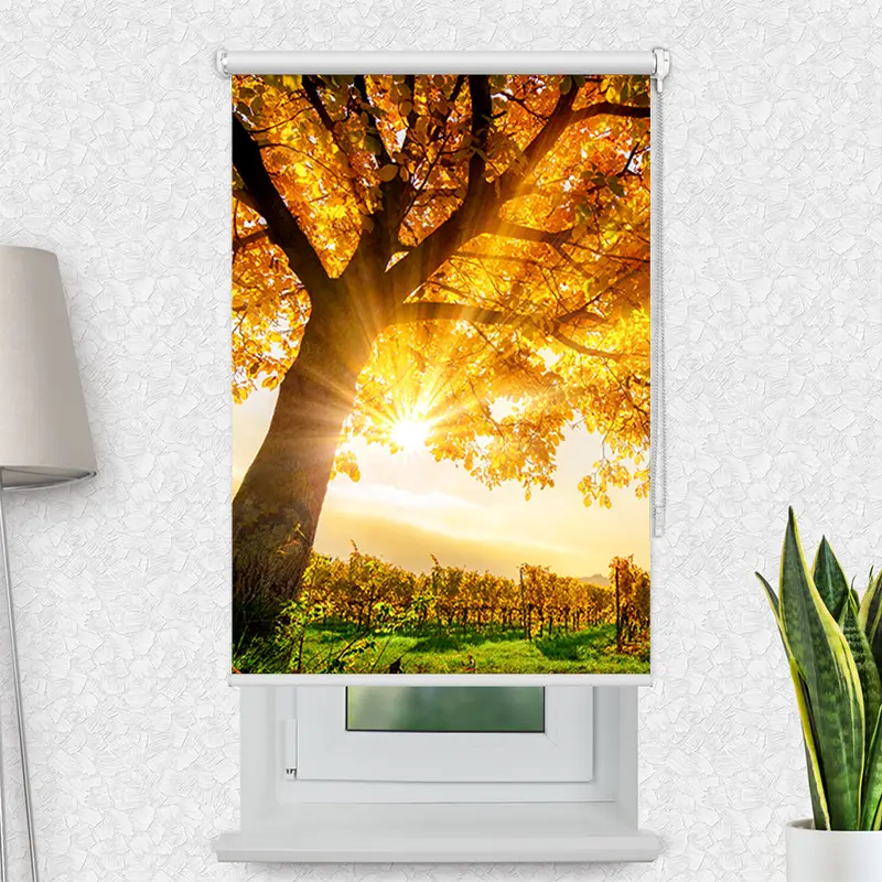 Klemmfix Rollo "Baum Herbst Sonnenschein" | Motiv-Klemmrollo