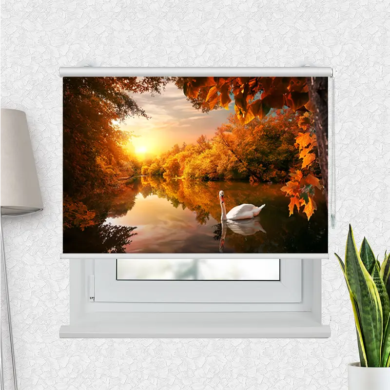 Klemmrollo Schwan auf Herbstteich