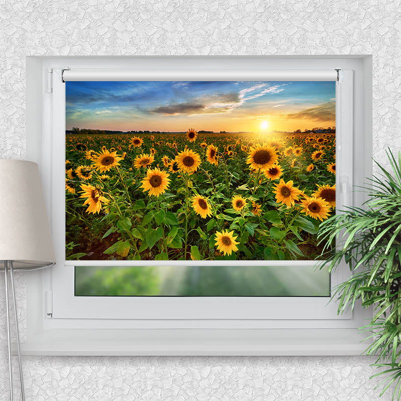 Klemmfix Rollo Sonnenblumenfeld Sonnenaufgang