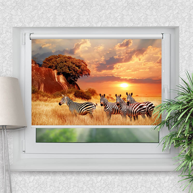 Klemmfix Rollo Zebras in Afrikas Savanne