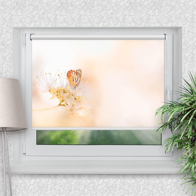 Klemmfix Rollo Schmetterling auf Bleute