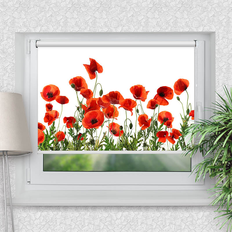 Klemmfix Rollo Mohnblumen Weisser Hintergrund