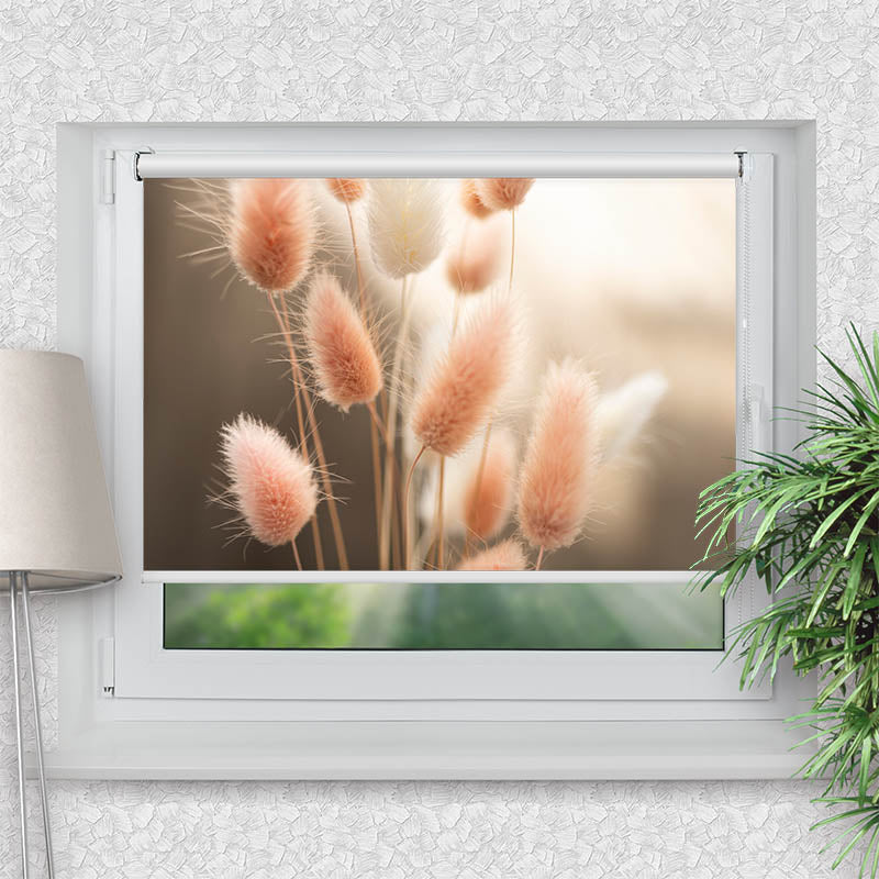 Klemmfix Rollo Flauschiges Hasenschwanzgras