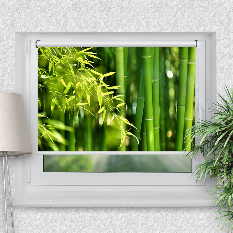 Klemmfix Rollo Bambus Strauch