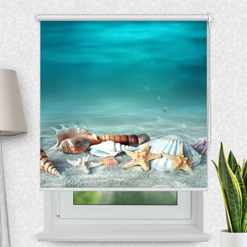 Klemmrollo Muschel Und Seestern Am Strand