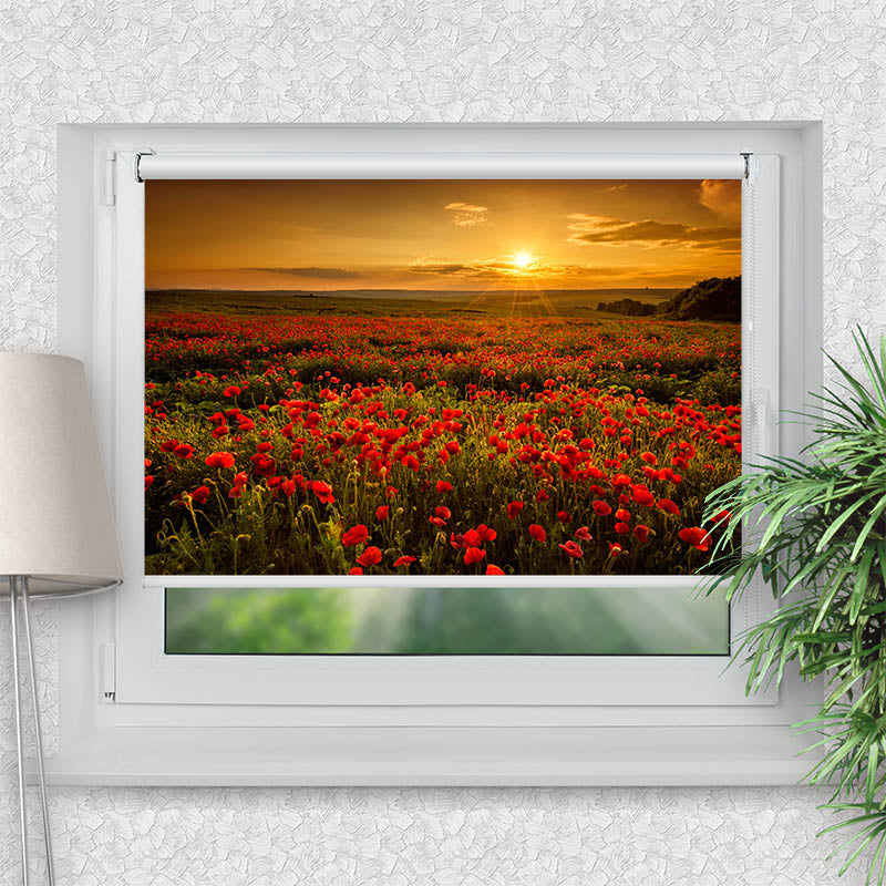 Klemmfix Rollo Mohnblumen Sonnenuntergang
