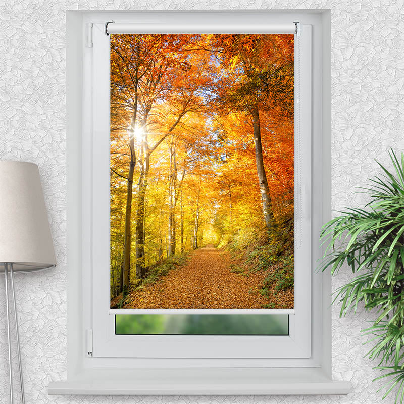 Klemmfix Rollo Waldweg Herbst