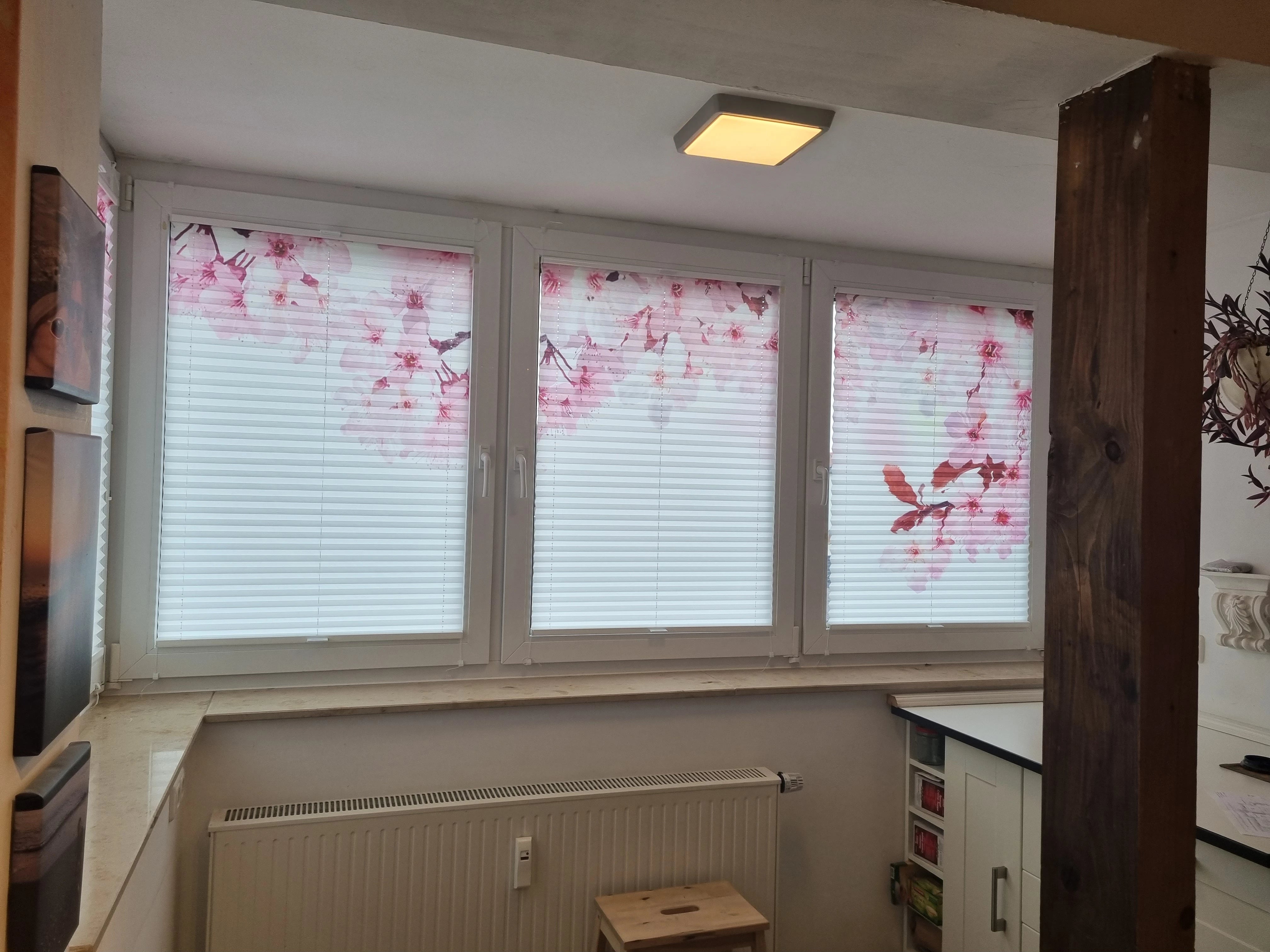 Am Fenster hängen bedruckte Foto-Plissees mit Kirschblüten bedruckt
