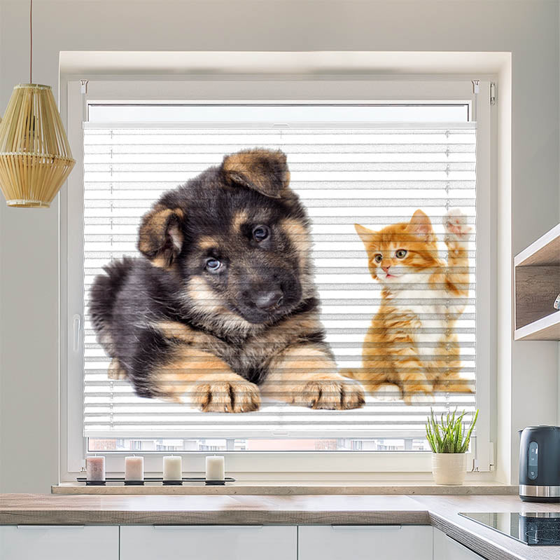 Plissee Motiv Welpe und Kitten