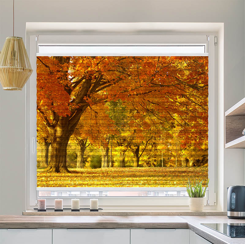 Plissee Motiv Allee im Herbst