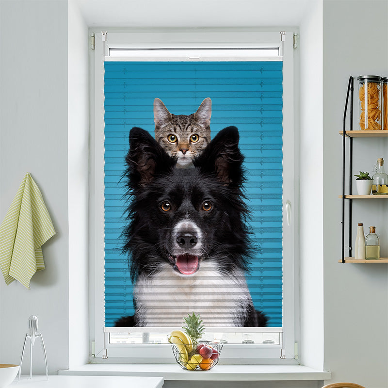 Plisse Motiv Border Collie Mit Katze