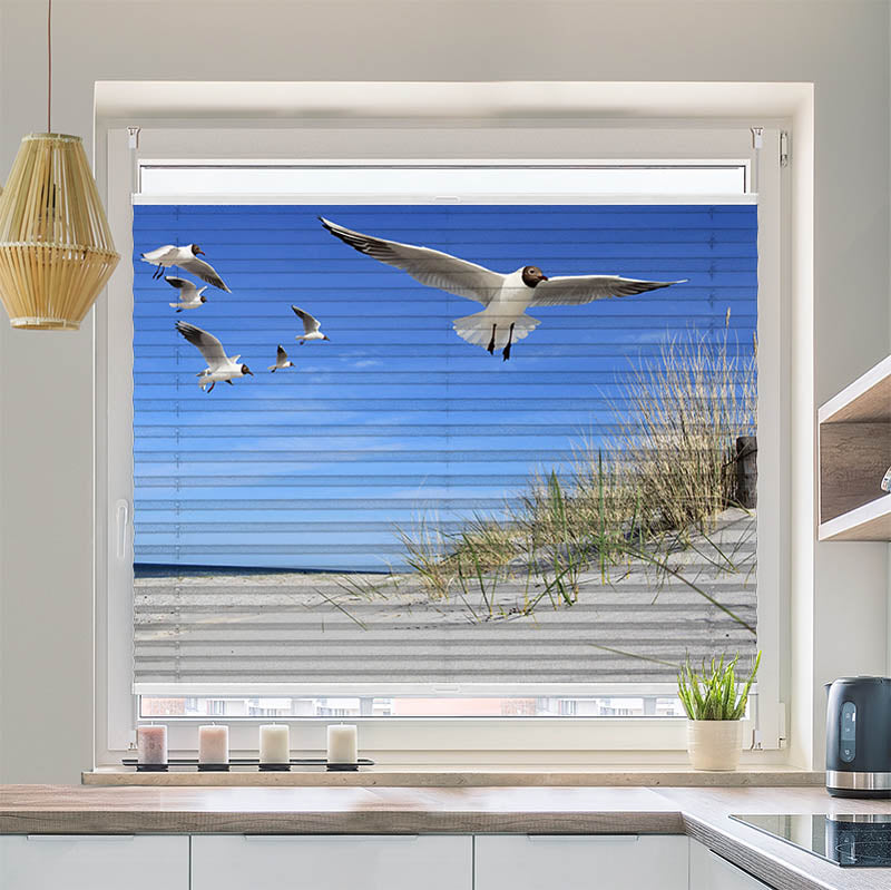 Plissee Motiv "Moewen am Strand"