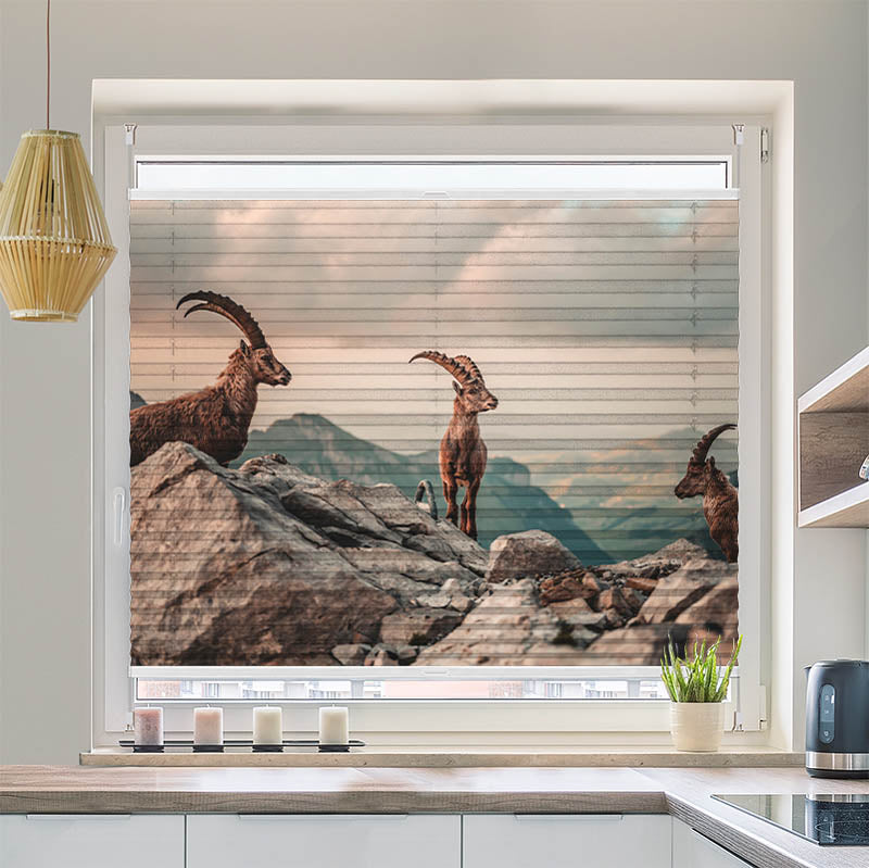 Plissee Motiv Steinboecke in den Schweizer Alpen