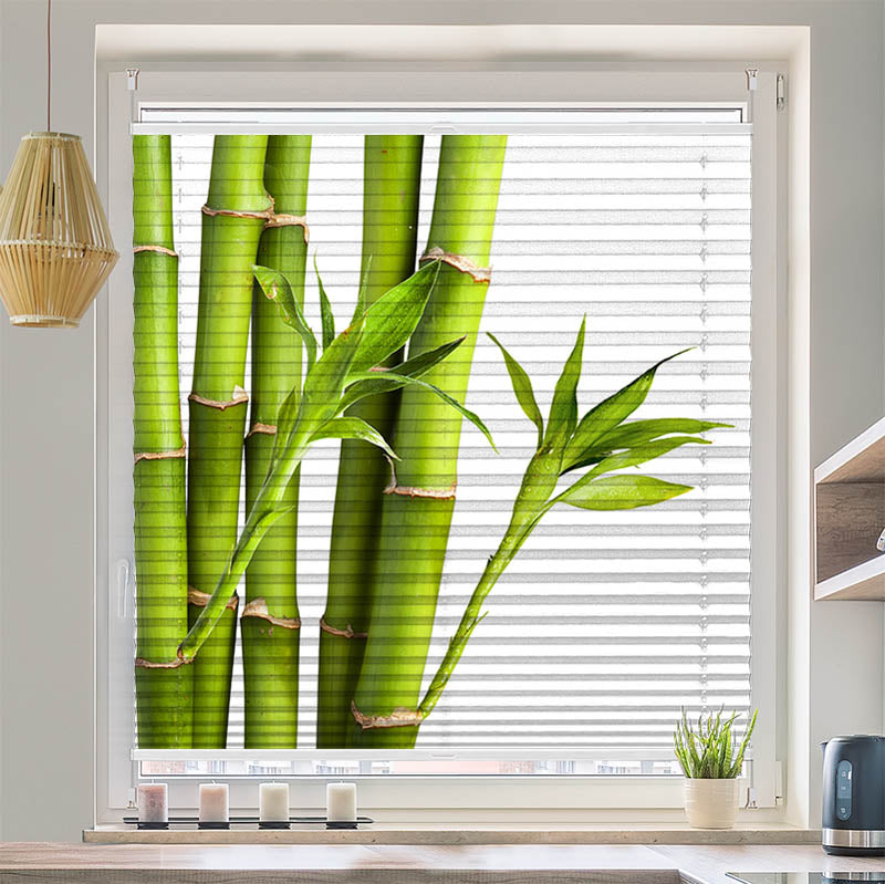 Plissee Motiv "Bambus"